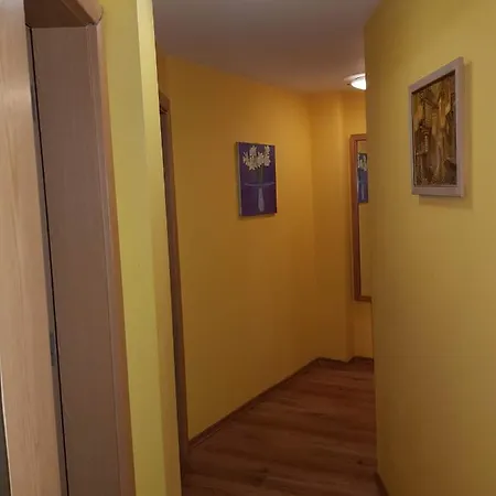 Alex'S Apartment