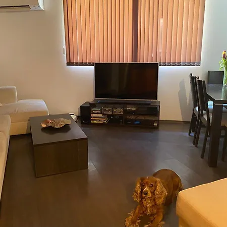 Alex'S Apartment
